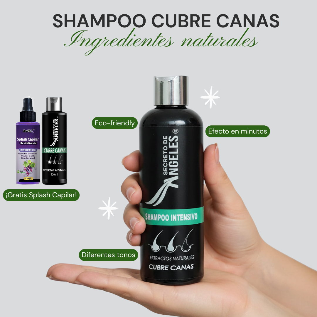 ¡Nuevo! SHAMPOO Cubre canas + SPLASH capilar GRATIS - Alimento para tu cabello