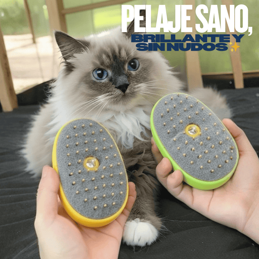 ¡Nuevo! Cepillo a vapor HappyPet - Salud, higiene y protección para tu mascota