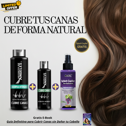 ¡Nuevo! SHAMPOO Cubre canas + SPLASH capilar GRATIS - Alimento para tu cabello