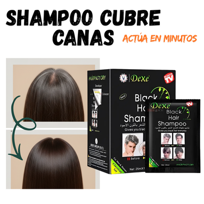 ¡Nuevo! Shampoo CUBRE CANAS X 10 SOBRES - Rejuvenece al instante, desde casa