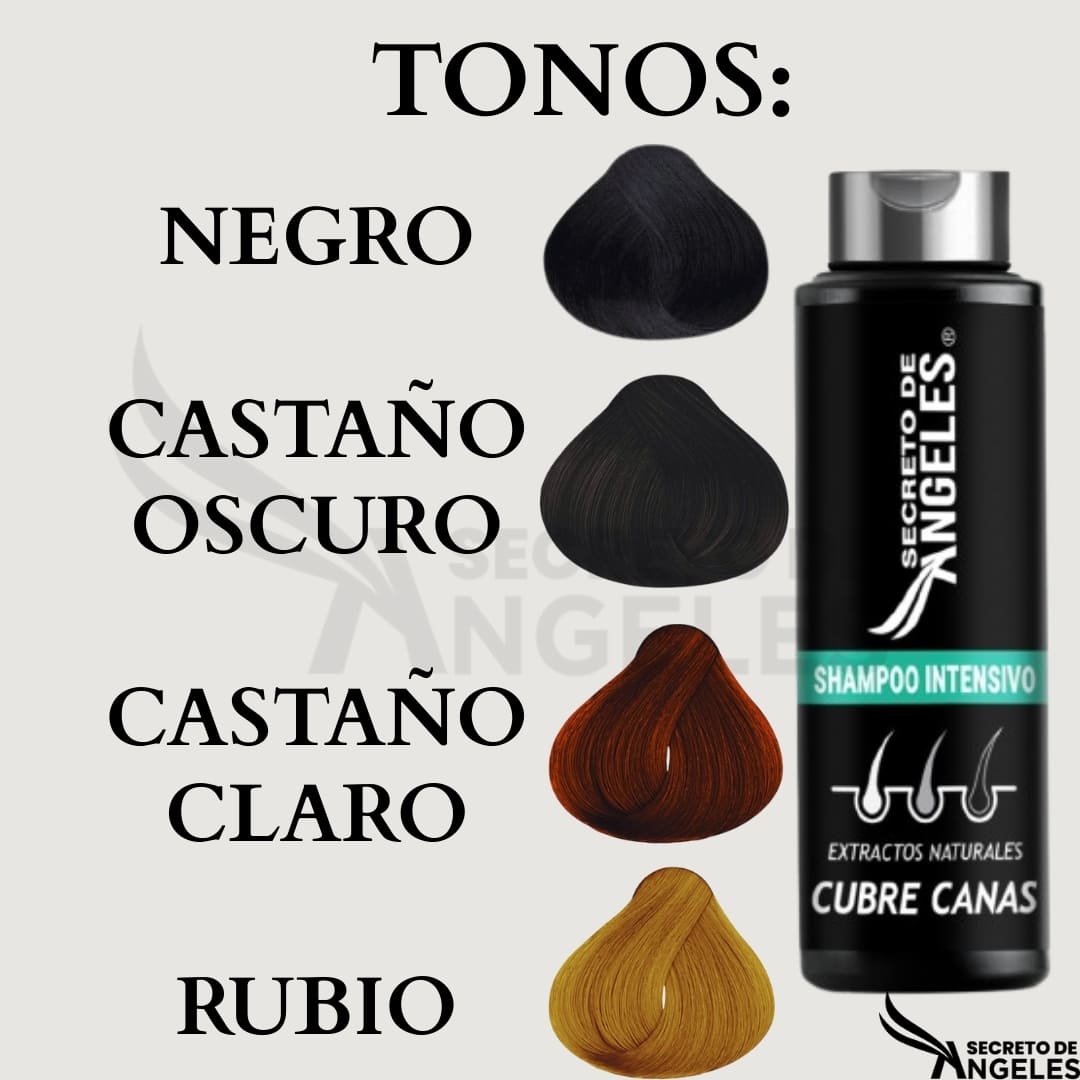 ¡Nuevo! SHAMPOO Cubre canas + SPLASH capilar GRATIS - Alimento para tu cabello