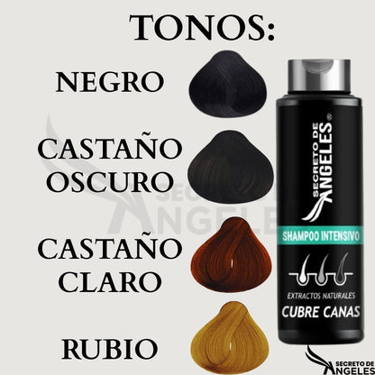 ¡Nuevo! SHAMPOO Cubre canas + SPLASH capilar GRATIS - Alimento para tu cabello