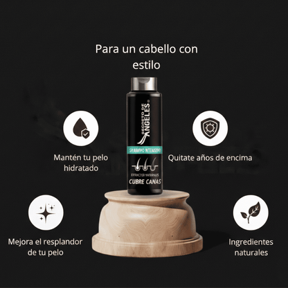 ¡Nuevo! SHAMPOO Cubre canas + SPLASH capilar GRATIS - Alimento para tu cabello